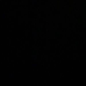 Meet your Posher, Cody